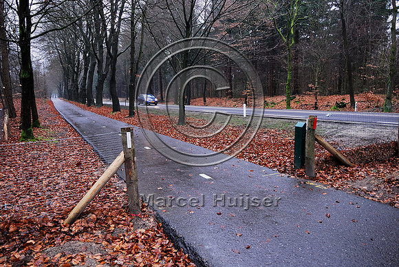 Animal detection system LED SICK WS/WE 45 at a gap in a wildlife fence near Harderwijk, The Netherlands