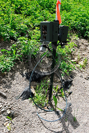 Wildlife camera on wildlife overpas US Hwy 93, MT