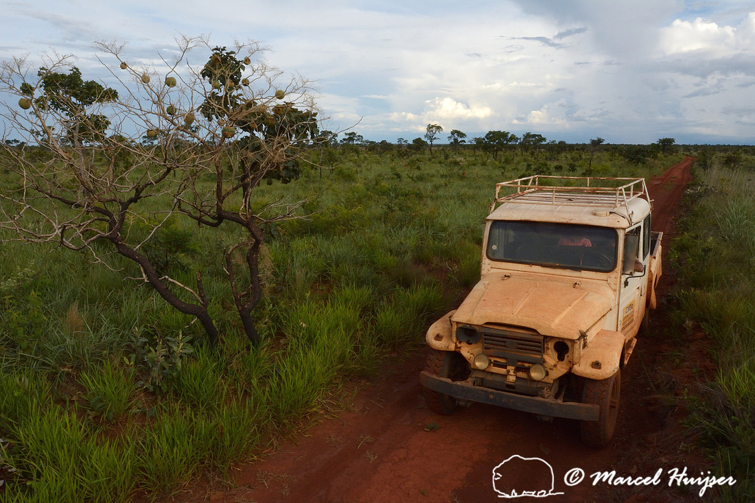 Our 4x4 vehicle (Toyota Bandeirantes ), Parque Nacional das Emas, Goiás, Brazil
