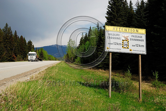 Wildlife warning sign, Attention Wildlife crossing Next 12 km Maximum speed limit 70 km/h, AB
