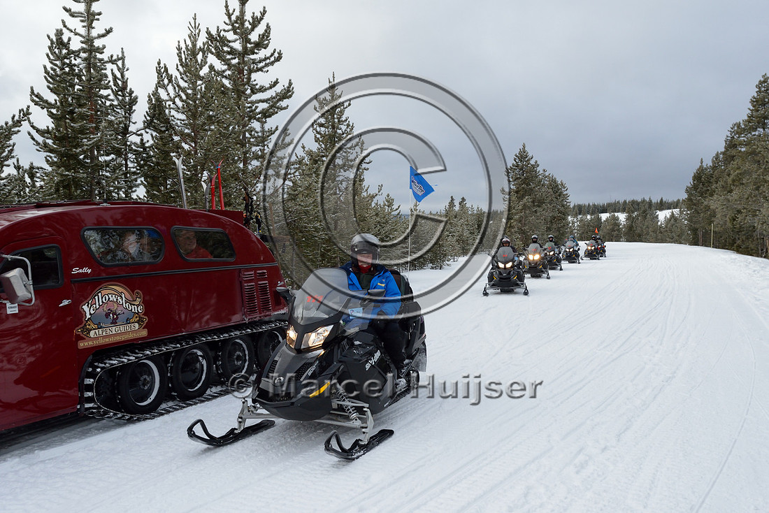 Line of snowmobiles (guide in front) passed by our snow coach, near West Yellowstone, Yellowstone National Park, Wyoming, USA