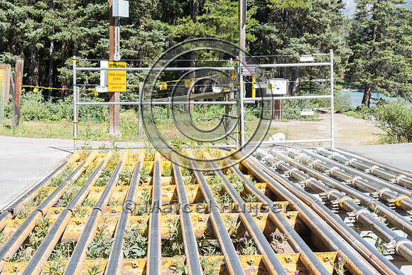 Electrified barrier to keep bears out of a campground, Lake Loui
