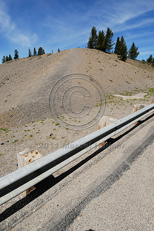 Bison or buffalo (Bos bison) crossing location just north of Madison River, US Hwy 191, West Yellowstone, MT