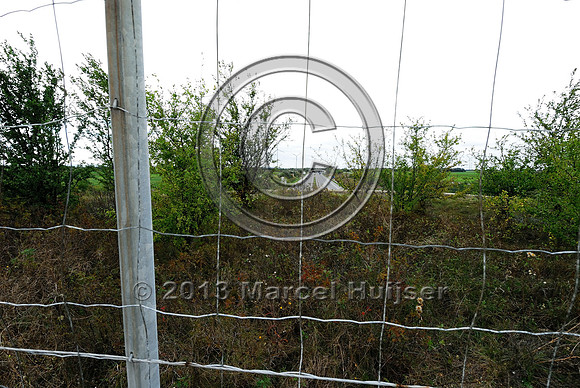 View through the wildlife fence on top of multifunctional overpass (wildlife and farm road, about 100 m wide), across A4 motorway, Parndorf, Austria