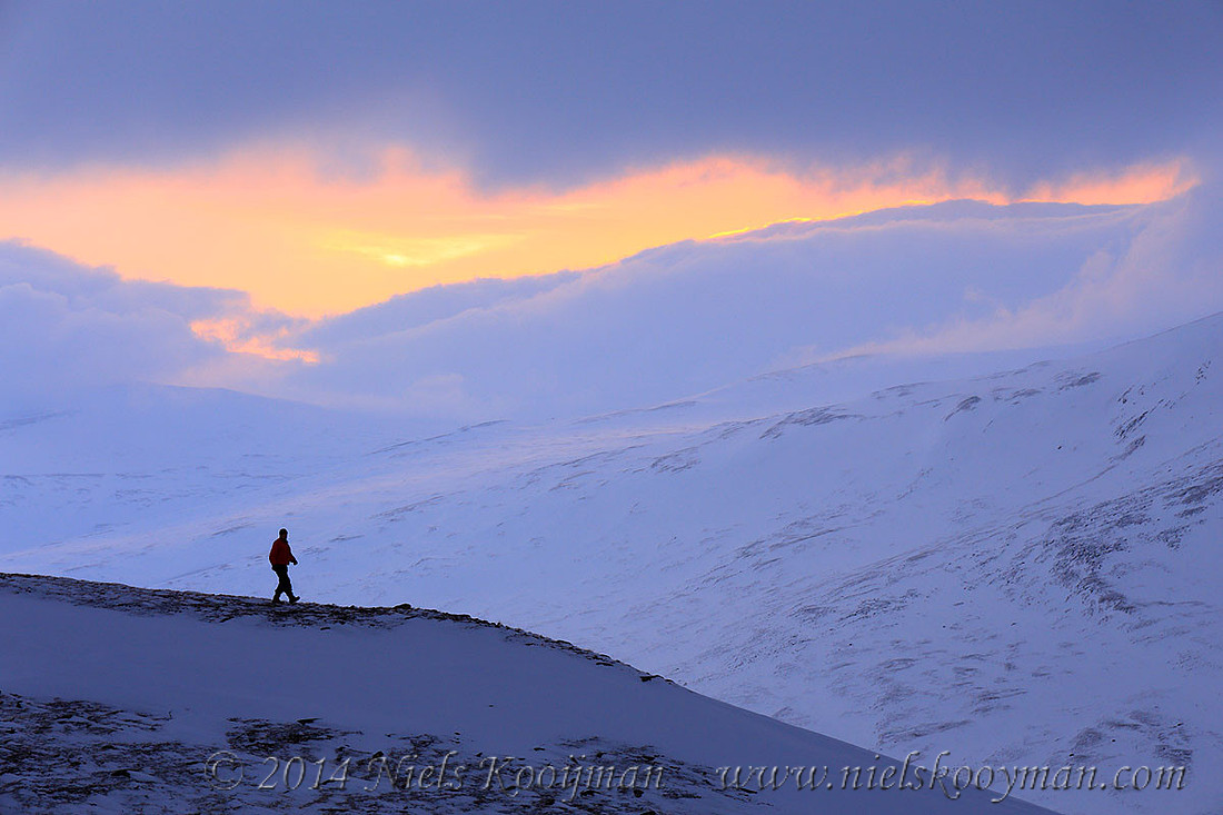 Marcel Huijser in Dovrefjell National Park, Norway