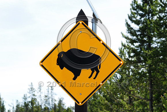 Bison or buffalo (Bos bison) warning sign, Yellowstone National Park, WY