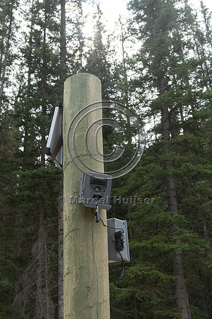 Electrified barrier to keep bears off the highway, exit Sunshine