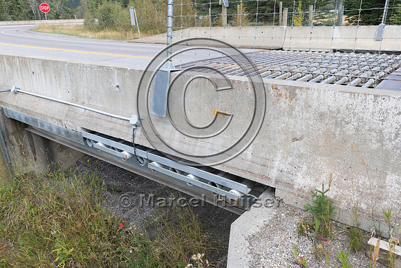 Electrified barrier to keep bears off the highway, exit Compound