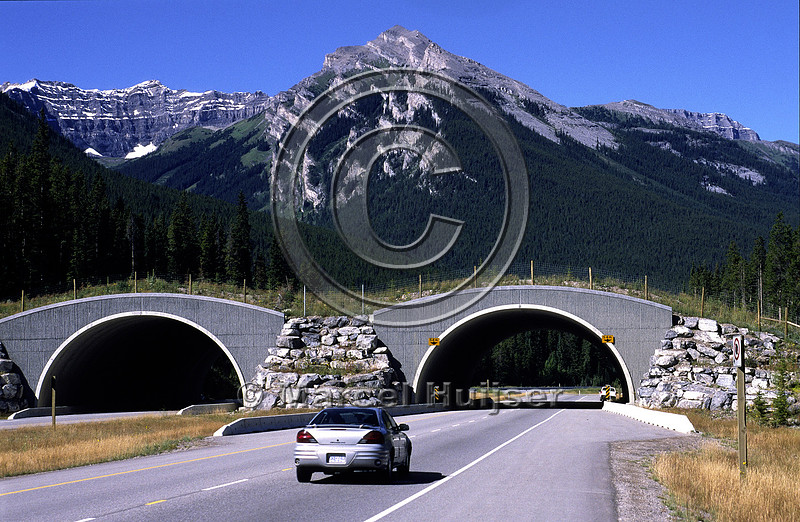Marcel Huijser Photography | Wildlife overpasses | Wildlife overpass ...