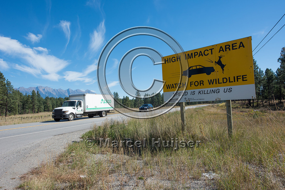 Warning sign for ungulates, British Columbia, Canada