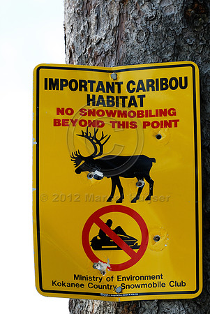 Sign with bullet holes, important caribou habitat, no snowmobiling beyond this point, Ministry of Environment, kokanee Country Snowmobile Club, British Columbia, Canada