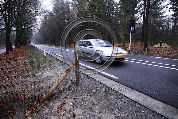 Animal detection system, The Netherlands