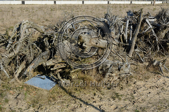 Root wads and plank to monitor reptiles and amphibians on top of wildlife overpass Oud Reemst (about 35 m wide), south of Otterlo, The Netherlands