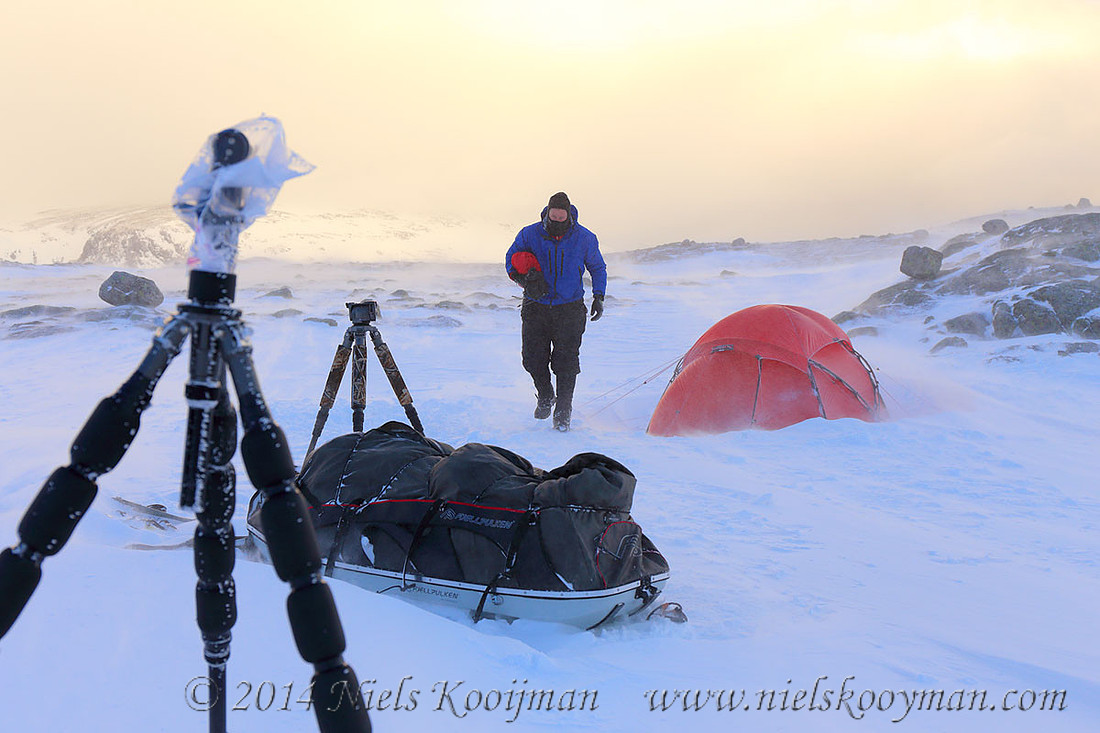 Marcel Huijser in Dovrefjell National Park, Norway