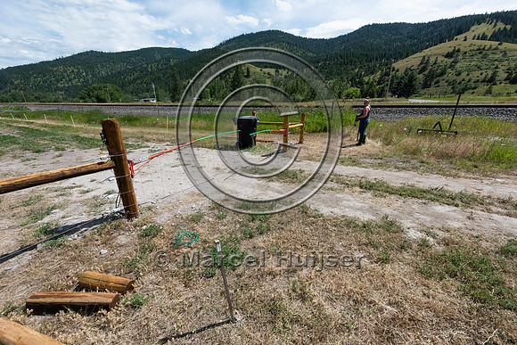 Installing electric fence and gates at a melon field to keep bla