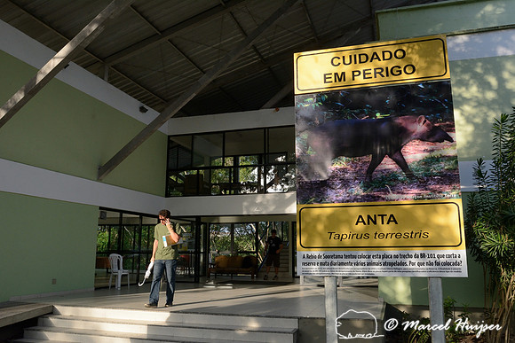 Warning sign for a tapir at the workshop about upgrading the highway through the Sooretama reserve, Vitória, Espírito Santo, Brazil