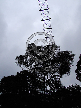 Note: image has relatively low resolution. Arboreal overpass for howler monkeys and sloths across a road bordering the zoo, Parque Zoologico de Sao Paulo, Av. Miguel Stéfano, São Paulo, Brazil