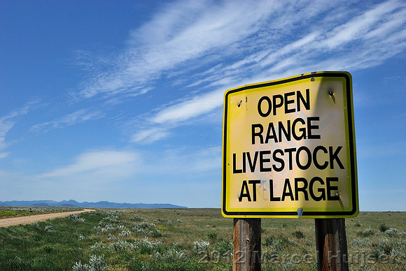 Livestock warning sign, Open range, Livestock at large, Montana, USA