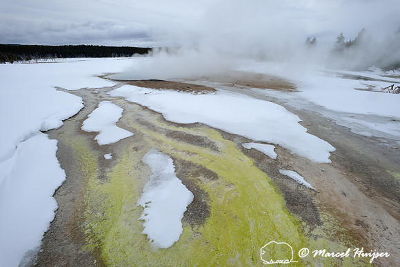 Near Celestine Pool, Fountain Pot Trail, Yellowstone National Park, Wyoming, USA