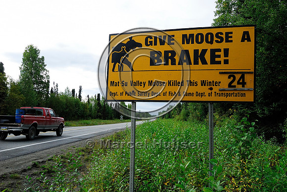 Moose warning sign, Alaska