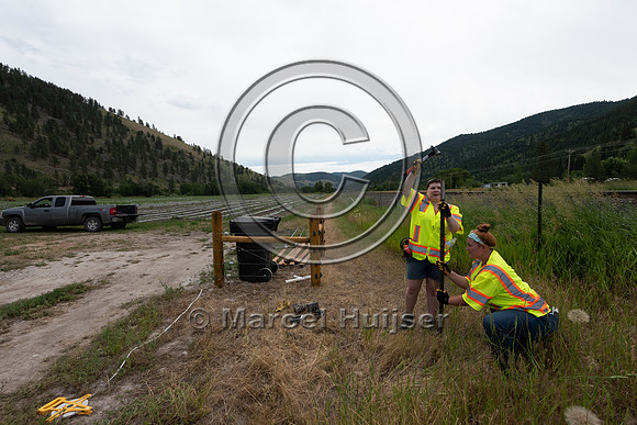 Installing electric fence and gates at a melon field to keep bla