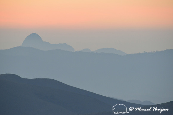 Atlantic forest at sunrise, near Parque Nacional da Serra da Bocaina, São Paulo, Brazil