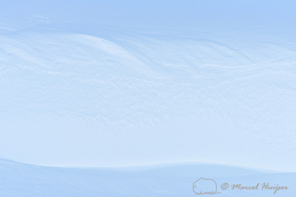 Snowy hill side, Dovrefjell National Park, Norway