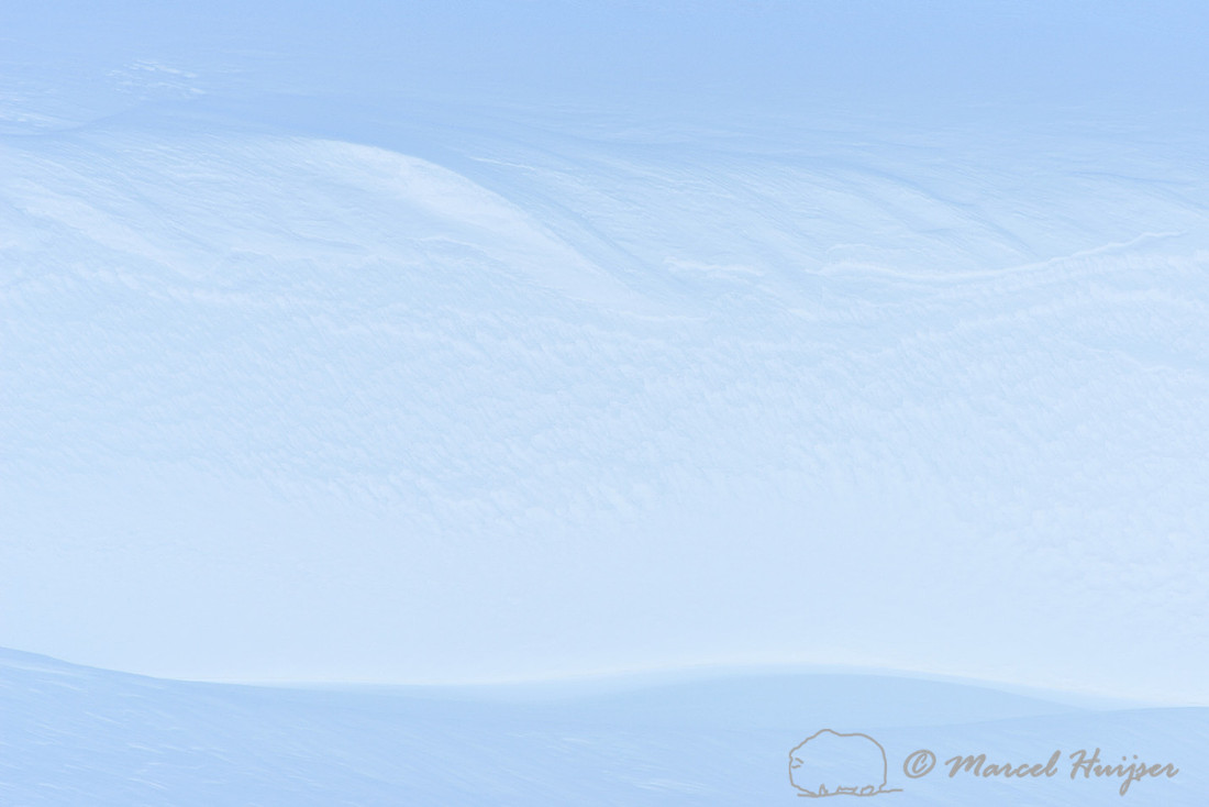 Snowy hill side, Dovrefjell National Park, Norway