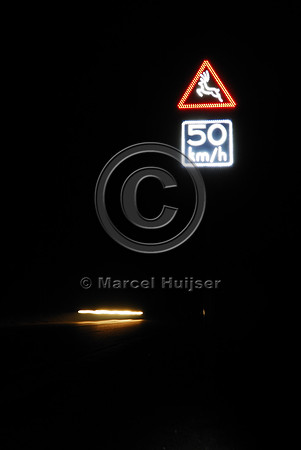 Animal detection system at night, Harderwijk, The Netherlands