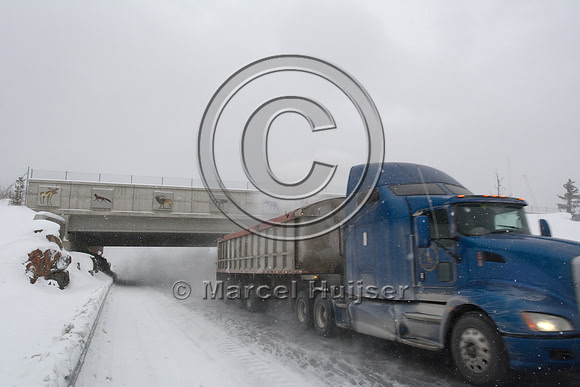 Wildlife overpass (about 30 m wide), Hwy 69, Ontario, Canada