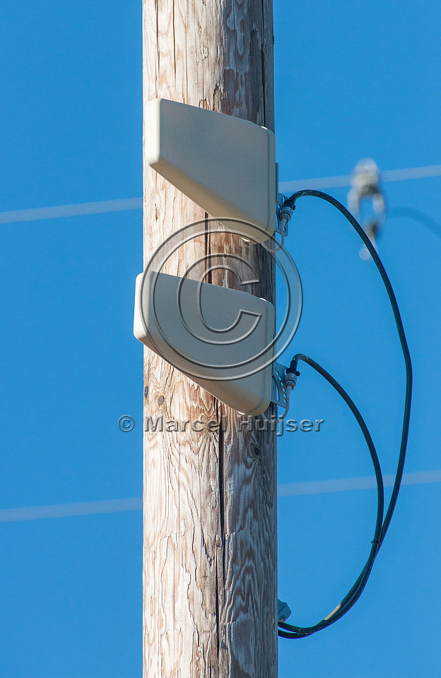 Cell phone signal booster associated with animal detection syste