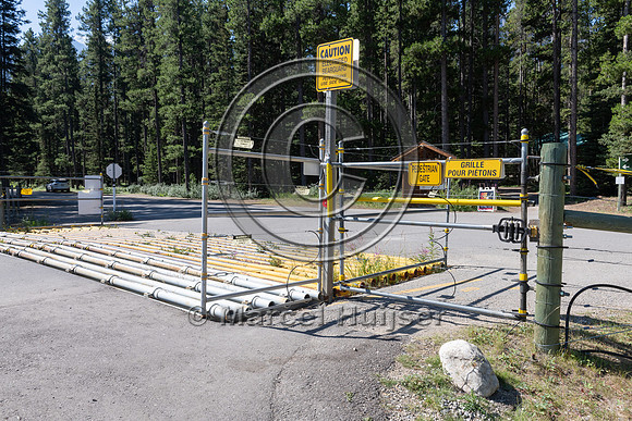 Electrified barrier to keep bears out of a campground, Lake Loui