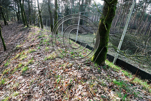 Wildlife fence at ecoduct Woeste Hoeve A50 near Apeldoorn, The Netherlands