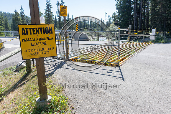 Electrified barrier to keep bears out of a campground, Lake Loui